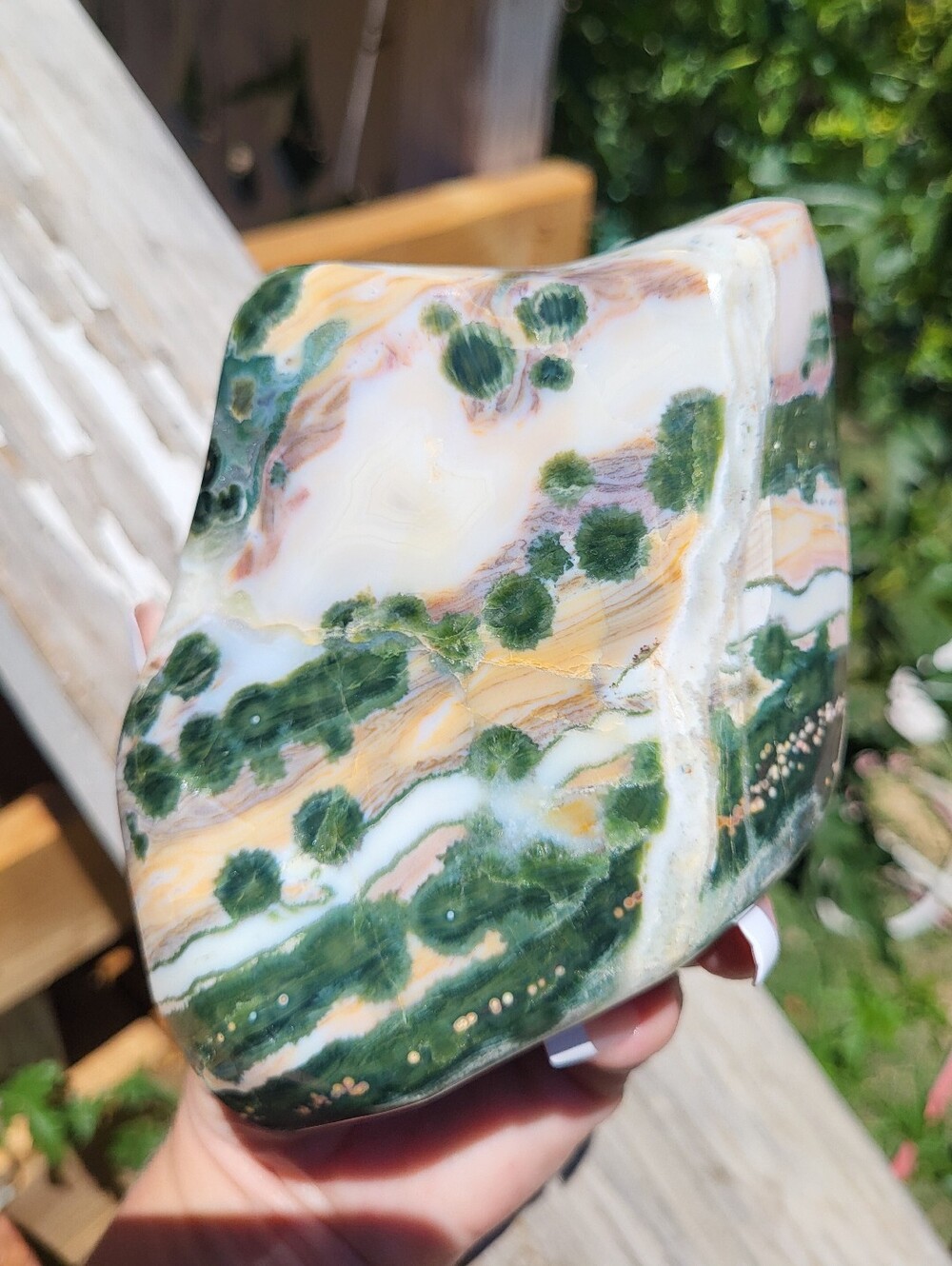Rare AAA Quality Vein 1 XLarge Ocean Jasper Freeform Polished